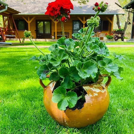 Vandor Tanya Holiday home Agasegyhaza