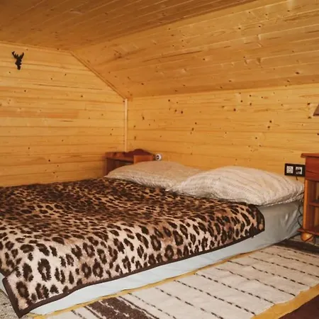 Vandor Tanya Holiday home